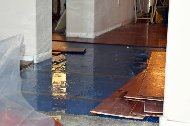Professional Flood Damage Restoration technician working in Crockett, CA